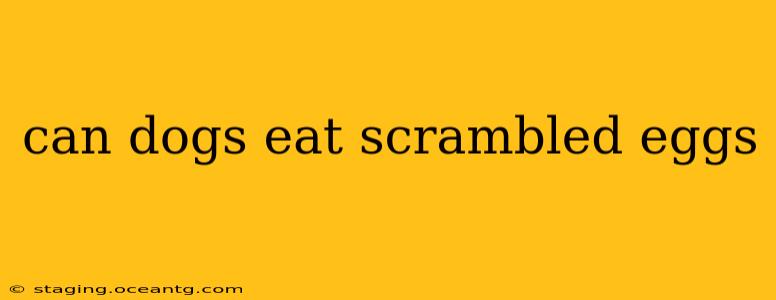 can dogs eat scrambled eggs