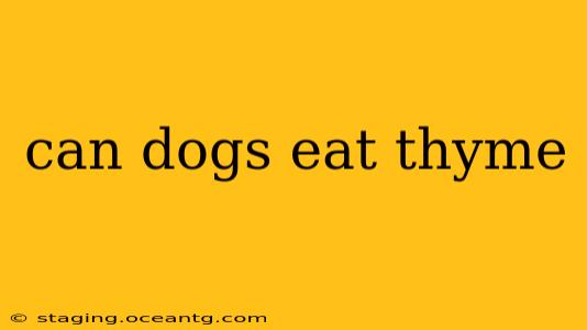 can dogs eat thyme