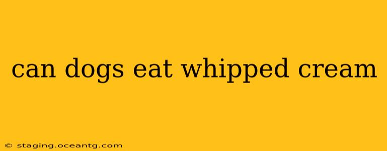 can dogs eat whipped cream