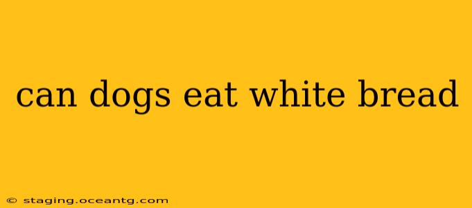 can dogs eat white bread