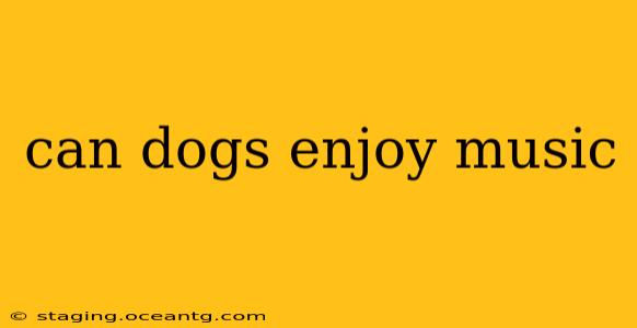 can dogs enjoy music