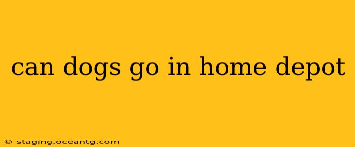 can dogs go in home depot