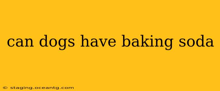 can dogs have baking soda