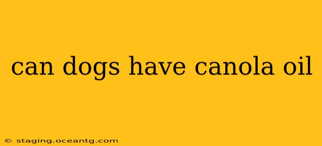 can dogs have canola oil