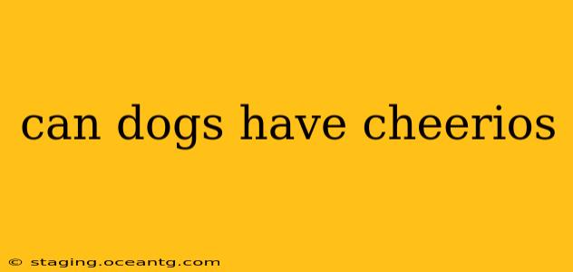 can dogs have cheerios