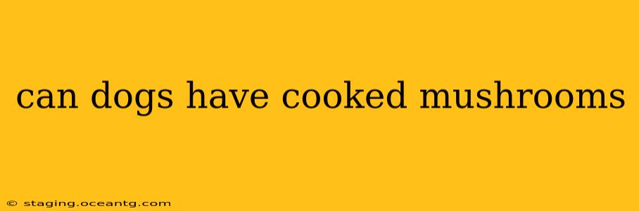 can dogs have cooked mushrooms