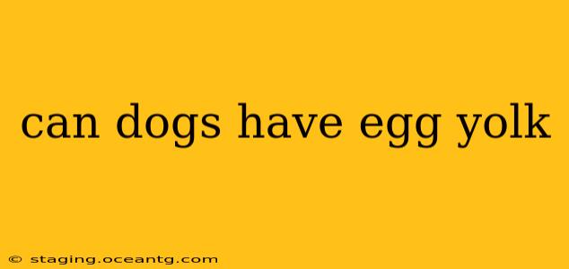 can dogs have egg yolk