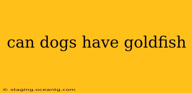 can dogs have goldfish