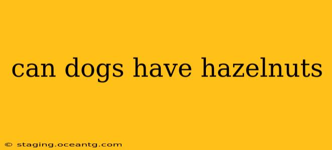 can dogs have hazelnuts