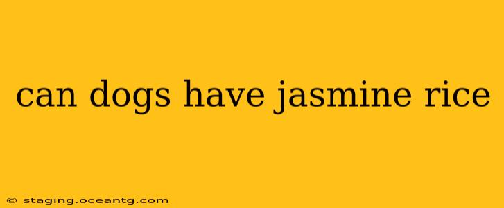 can dogs have jasmine rice