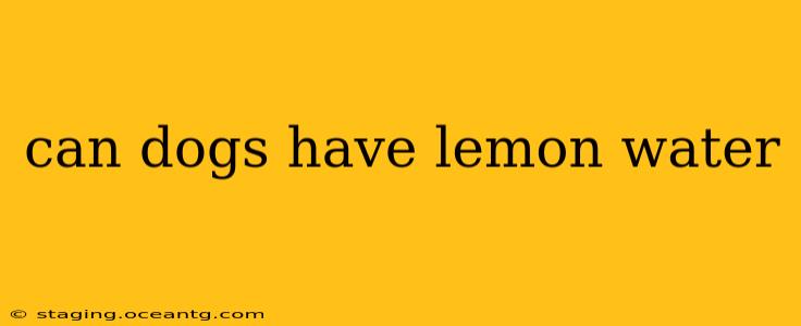 can dogs have lemon water