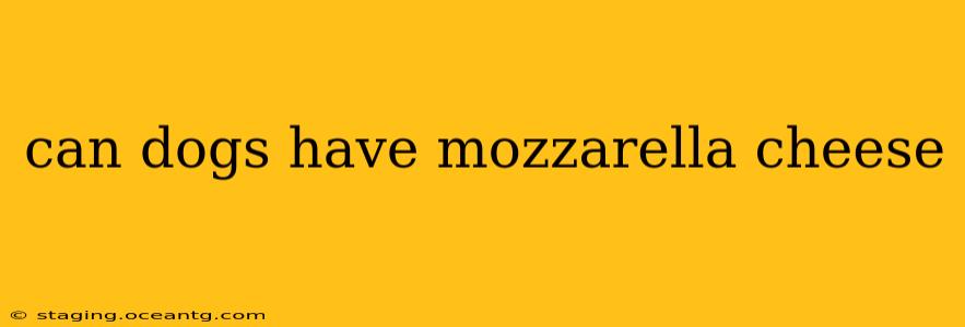 can dogs have mozzarella cheese