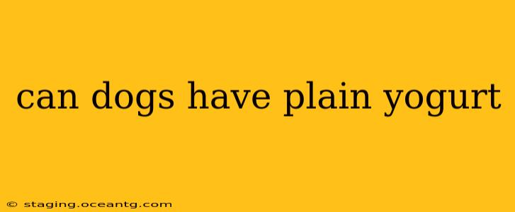 can dogs have plain yogurt