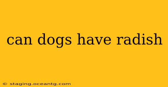 can dogs have radish