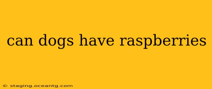 can dogs have raspberries