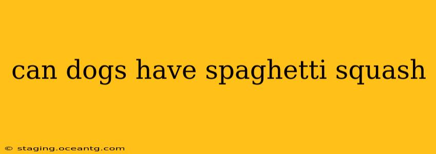 can dogs have spaghetti squash