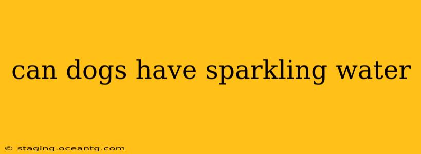 can dogs have sparkling water