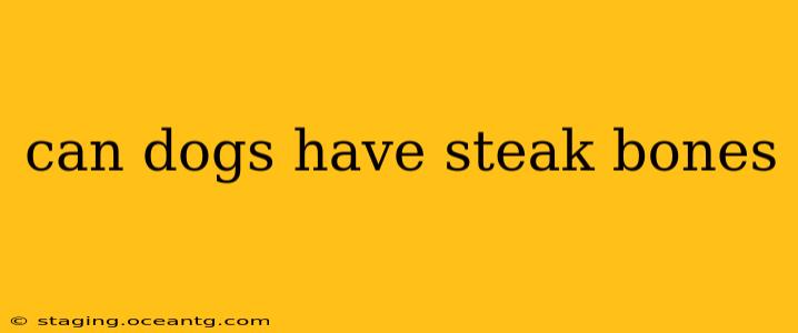 can dogs have steak bones