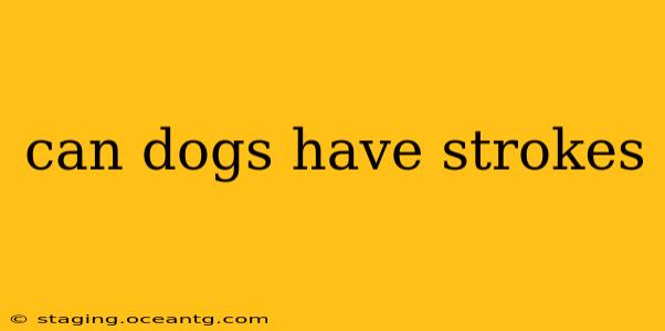 can dogs have strokes