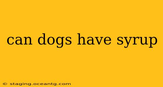 can dogs have syrup