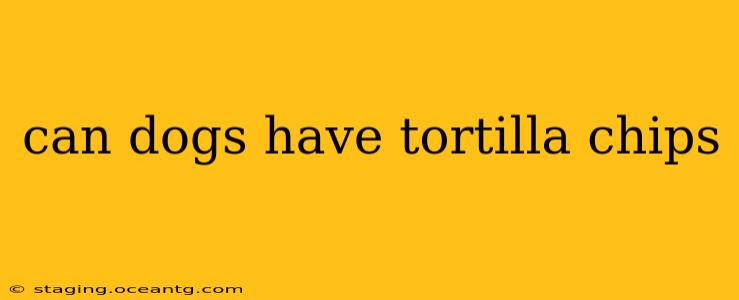 can dogs have tortilla chips