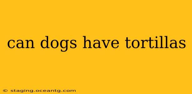 can dogs have tortillas