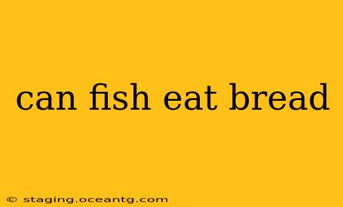 can fish eat bread