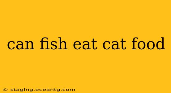 can fish eat cat food