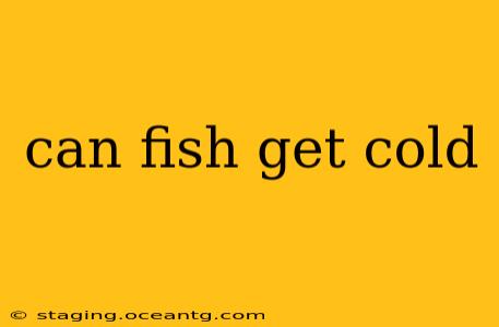 can fish get cold