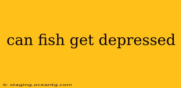 can fish get depressed