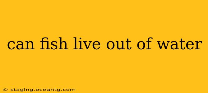 can fish live out of water