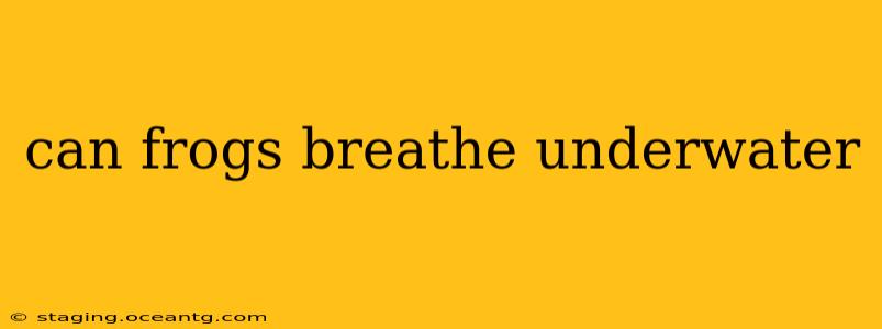 can frogs breathe underwater