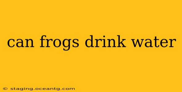 can frogs drink water