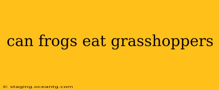 can frogs eat grasshoppers