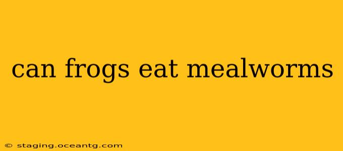 can frogs eat mealworms