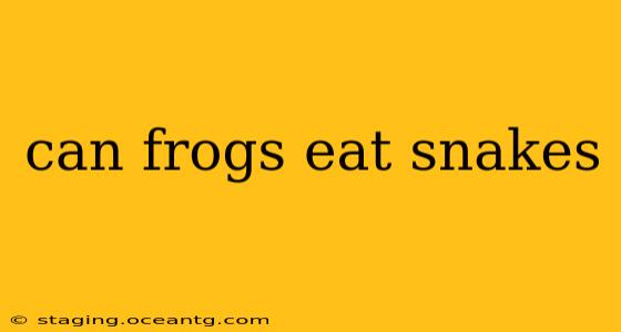 can frogs eat snakes