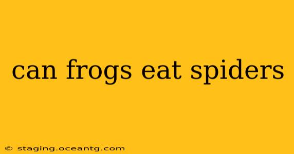 can frogs eat spiders