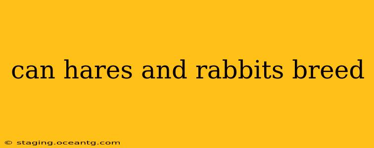 can hares and rabbits breed