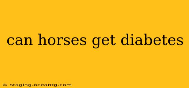 can horses get diabetes