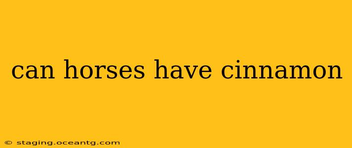can horses have cinnamon
