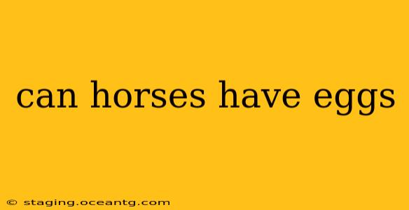 can horses have eggs