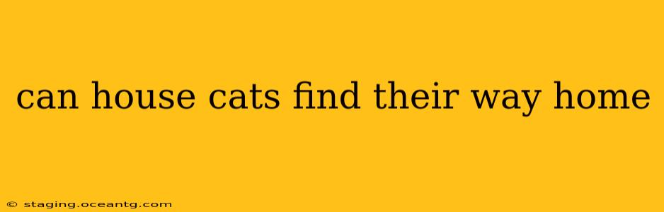 can house cats find their way home