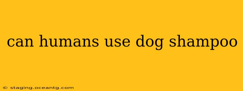 can humans use dog shampoo