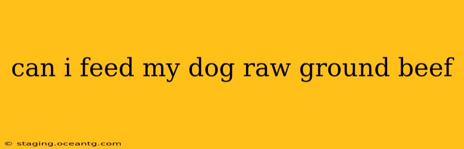 can i feed my dog raw ground beef
