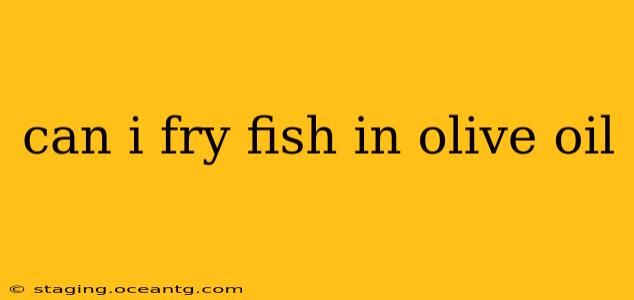 can i fry fish in olive oil