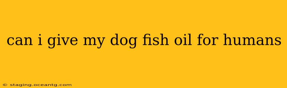 can i give my dog fish oil for humans
