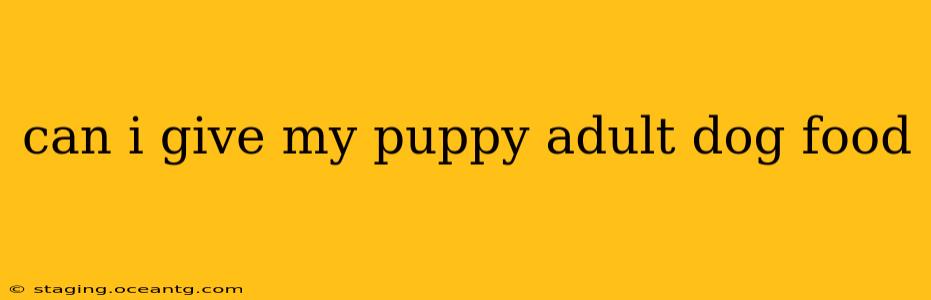 can i give my puppy adult dog food