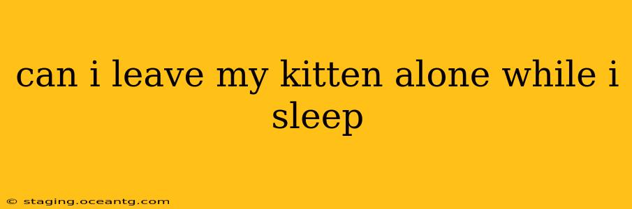 can i leave my kitten alone while i sleep