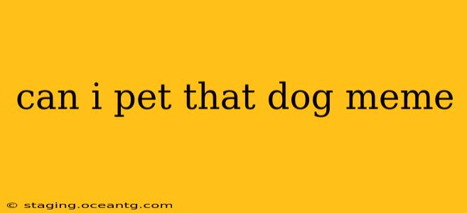 can i pet that dog meme