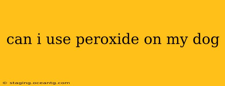 can i use peroxide on my dog